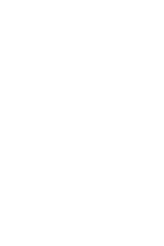 Live To Ride Regular T-shirt